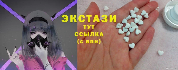 хмурый Аркадак