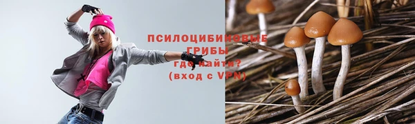 синтетический гашиш Армянск