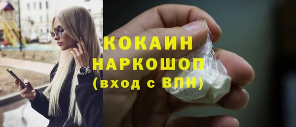 хмурый Аркадак