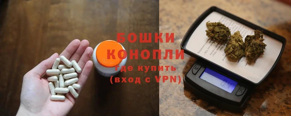 шишки Алзамай
