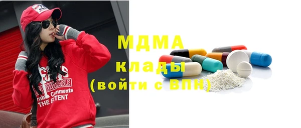 хмурый Аркадак