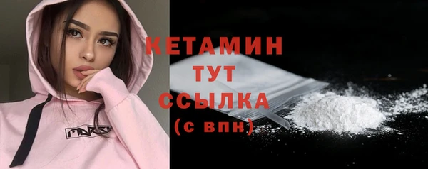хмурый Аркадак