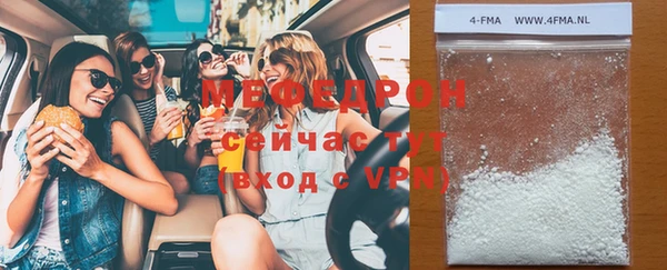 хмурый Аркадак