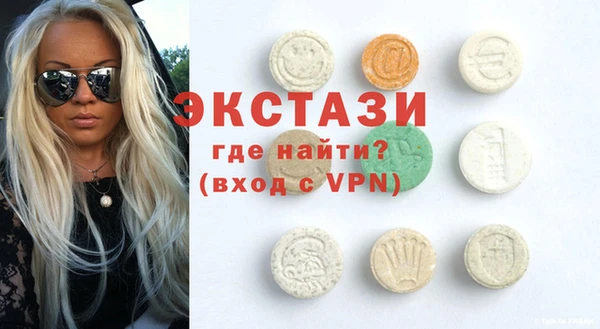 хмурый Аркадак
