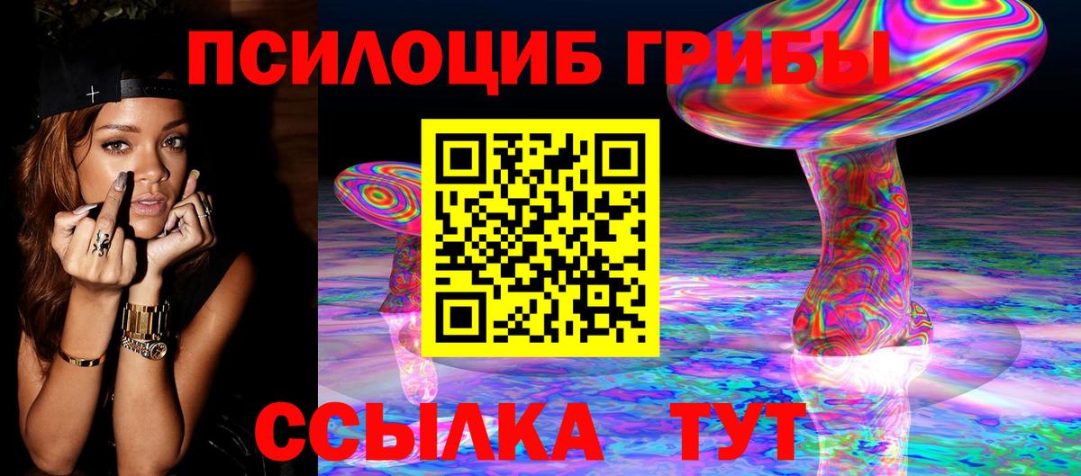 Курган  Псилоцибиновые грибы MAGIC MUSHROOMS  Вход с VPN 